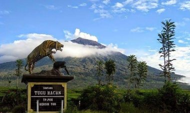 Traveler! Jangan Coba-coba Turun dari Gunung Kerinci Usai Jam 5 Sore, Ini Alasannya....
