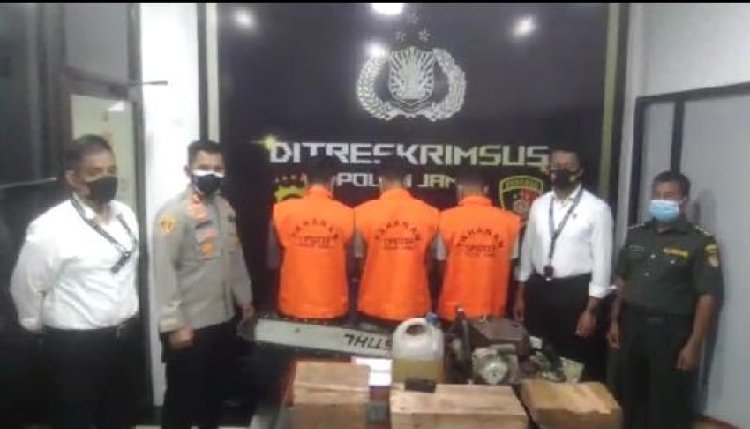 3 Pelaku Pembalakan Liar Diringkus di Muarojambi