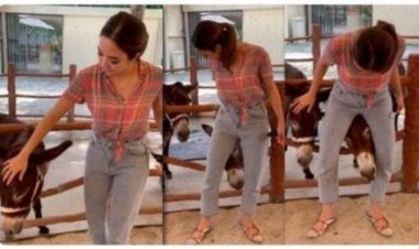 Heboh! Gisella Jepit Kepala Keledai di Selangkangan, Netizen Bawa-bawa Lagi Video Syur yang Viral