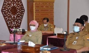 Pj Gubernur Jambi Gelar Rapat Percepatan Realisasi APBD Secara Virtual