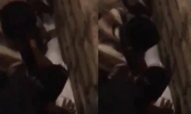 Viral! Kain Kafan Jenazah Tuan Guru Al Bayani Mengempis saat Dimakamkan