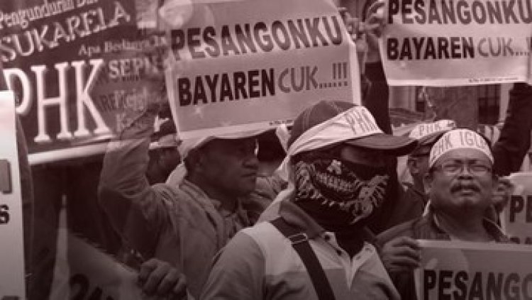 Pak Jokowi! Gelombang PHK Bukan Main-Main, Bukti yang Kian Nyata!