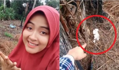 Viral! Gadis Cantik Temukan Sesuatu di Ladang: Ya Allah Kayak Lihat Intan dan Berlian