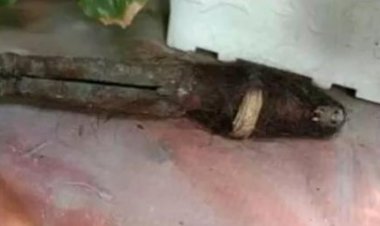 HEBOH! Temuan Benda Diduga Jenglot di Labuhan Batu