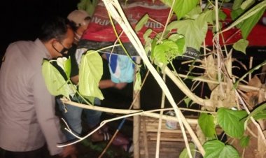 Warga Bungo-Jambi Kabur dari Kejaran Petugas dengan Cara Terjun ke Sungai, Kapolres: Bersama Basarnas Kita Cari