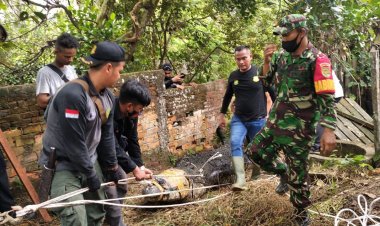 BKSDA Jambi Evakuasi Puluhan Buaya yang Lepas di Sungai Gelam Muarojambi