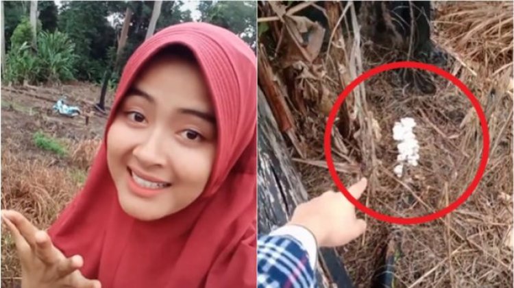 Viral! Gadis Cantik Temukan Sesuatu di Ladang: Ya Allah Kayak Lihat Intan dan Berlian