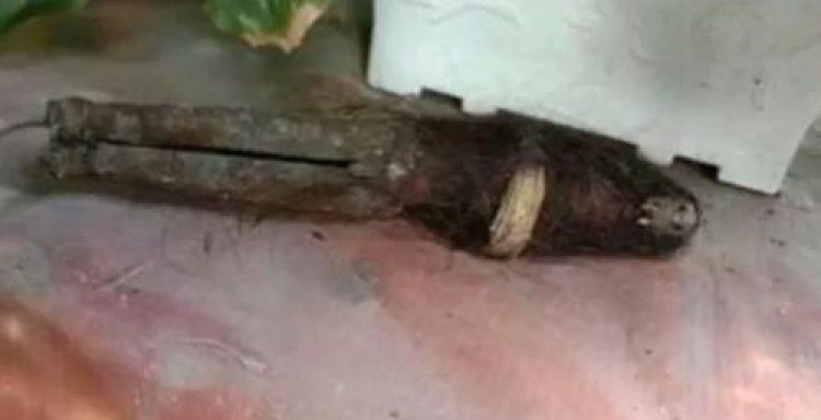 HEBOH! Temuan Benda Diduga Jenglot di Labuhan Batu