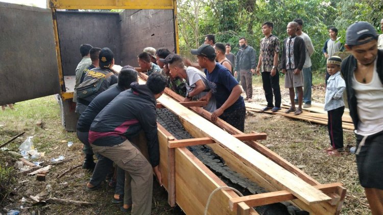 Puluhan Buaya Hasil Evakuasi di Sungai Gelam Dipindahkan ke Kolam Warga