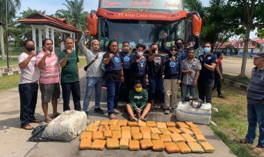 Bawa 45 Kg Ganja dari Aceh, Kurir Asal Jawa Barat Ditangkap BNNP Jambi