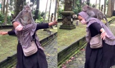 Viral! Aksi Emak-emak Berjoget Sambil Gendong Monyet Besar