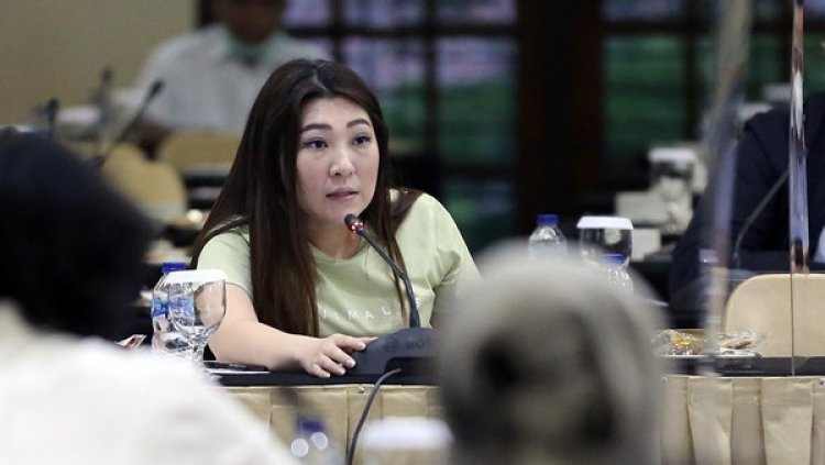 Tak Terima Dipecat dari DPRD DKI, Viani Bakal Gugat Rp1 Triliun, PSI: Sikap Itu Hak Sis Viani....