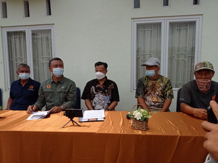 Berhasil Tangkap Harimau di Air Batu, Kepala BKSDA Jambi: Insting Liarnya Tetap Kita Jaga