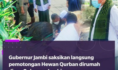 Gubernur Salat Idul Adha dan Serahkan Hewan Kurban