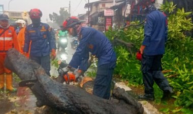 Saat Menepi Pakai Jas Hujan, Pria Ini Nyaris Ditimpa Pohon di Pasar Minggu