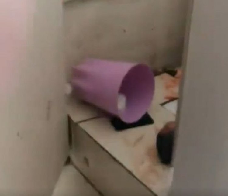 Viral! Mahasiswi Melahirkan di Toilet Kampus dan Kepergok oleh Dosen dan Teman