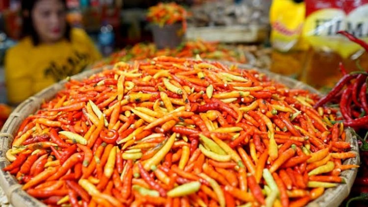 Lapor Pak Jokowi! Harga Cabai Bersaing Ketat dengan Harga Daging