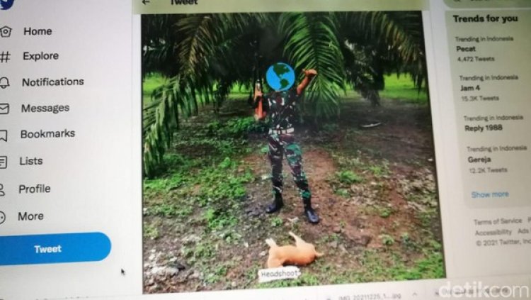 Viral Oknum Pria Berseragam Loreng Diduga Tembak Anjing, Animal Defender Ambil Sikap