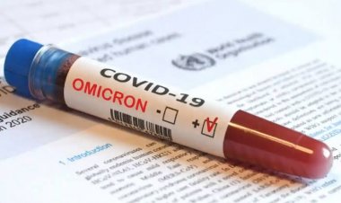 Prediksi dan Langkah Skenario Hadapi Puncak Omicron, Begini Kata Luhut