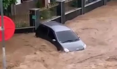Heboh! Banjir Jember, Hanyutkan Mobil dan Rendam Perumahan