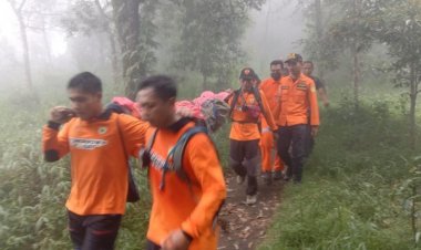 Pendaki Tewas Kedinginan di Gunung Lawu