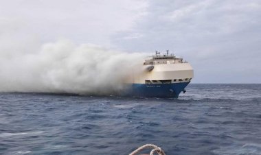 Felicity Ace Bawa 4.000 Mobil Mewah Akhirnya Tenggelam