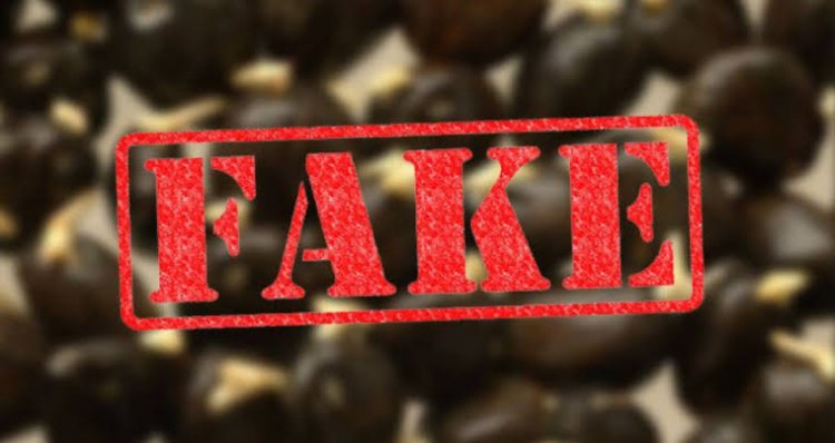 70 Persen Petani di Muaro Jambi Tanam Bibit Sawit Palsu