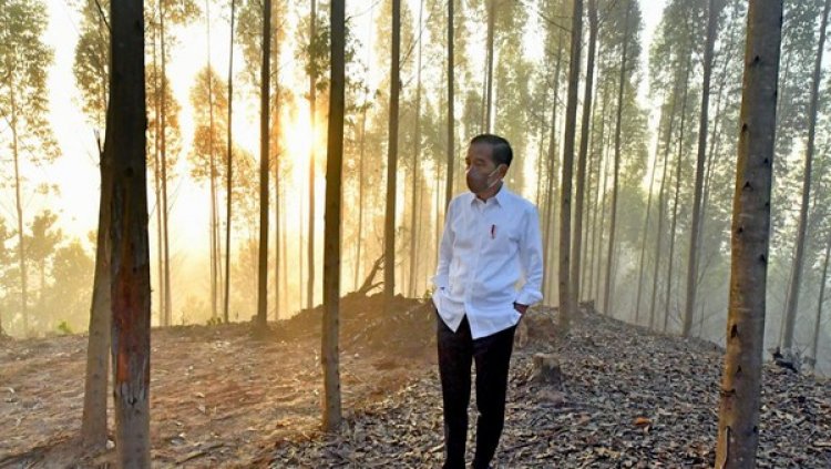 Tolak Jokowi 3 Periode, Gibran: Nek Ono Demo Menolak Jabatan Tiga Periode, Kandanono Tak Melu