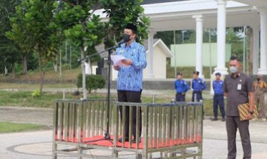 Wabup BBS Pimpin Upacara Peringatan HKN 2022