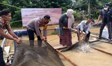 Bupati Masnah Sebut Produksi Ikan Muarojambi Surplus