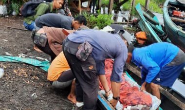 Ngeri, Pria Asal Kota Jambi Ini Tewas Diterkam Harimau di Kumpeh
