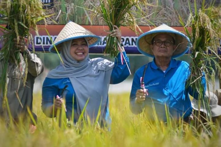 Pemkab Muaro Jambi Beli Alat Mesin Penggiling Padi untuk Tiga Kecamatan