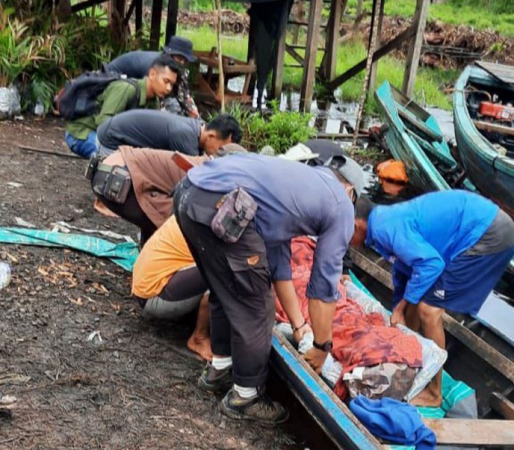 Ngeri, Pria Asal Kota Jambi Ini Tewas Diterkam Harimau di Kumpeh