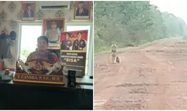 Viralll!! Video Penampakan Harimau Disebut-sebut di Sungaigelam, Begini Kata Kapolsek