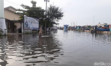 HEBOH! Banjir Rob Terjang Pesisir Pantai Utara, BMKG: Puncak Pasang Tertinggi
