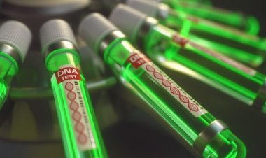 WHO Beri Saran ke LGBT, Cacar Monyet Dapat Menular Seks Sesama Jenis!