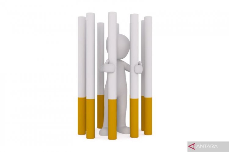 Teknologi Pemanasan Tembakau Alternatif Ternyata Bisa Turunkan zat Berbahaya