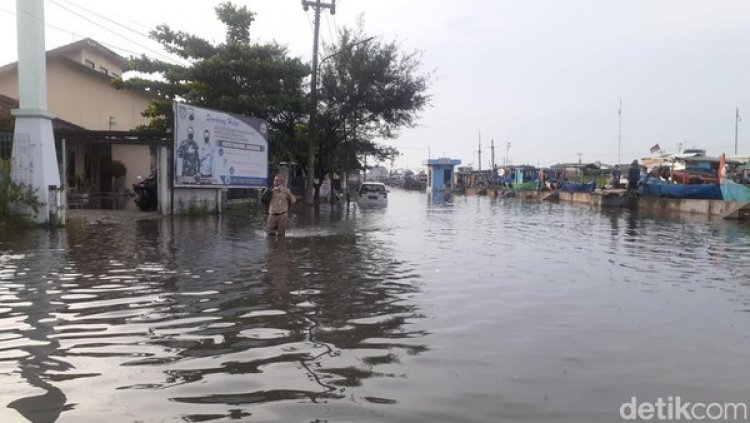 HEBOH! Banjir Rob Terjang Pesisir Pantai Utara, BMKG: Puncak Pasang Tertinggi