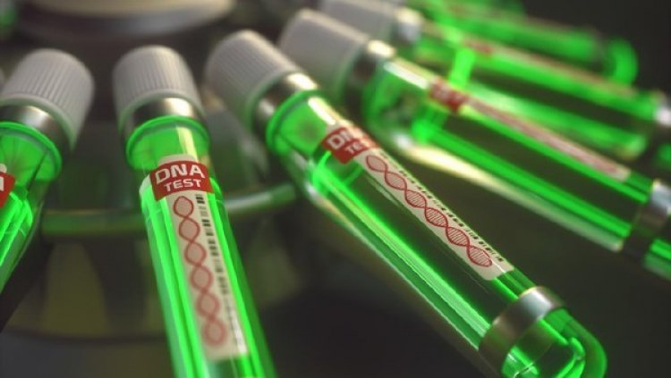 WHO Beri Saran ke LGBT, Cacar Monyet Dapat Menular Seks Sesama Jenis!