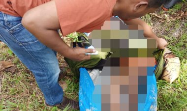 PETI Kembali Makan Korban di Merangin, 2 Orang Tewas di Tempat