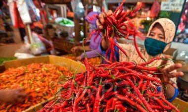 Harga Cabai Semakin Pedas, Warga: Jual Sawit Sepikul Baru Dapat Cabai Sekilo