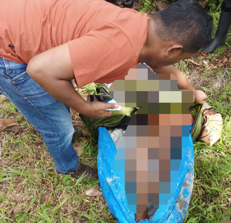 PETI Kembali Makan Korban di Merangin, 2 Orang Tewas di Tempat