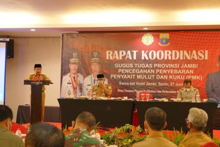 Gubernur Jambi Minta Tim Gugus Tugas Gerak Cepat Tangani PMK