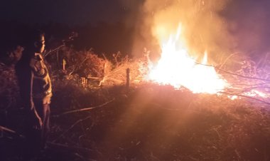 Satu Hektar Lahan Eks PT Agro Makmur di Mestong Muaro Jambi Terbakar