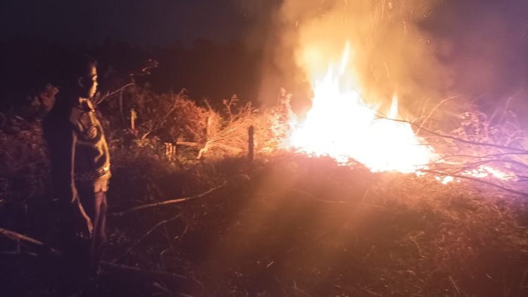 Satu Hektar Lahan Eks PT Agro Makmur di Mestong Muaro Jambi Terbakar