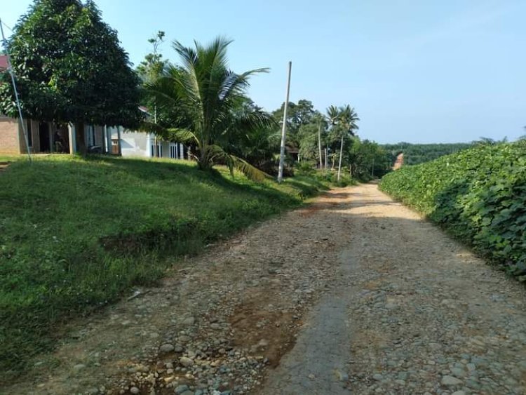 79 Tahun Indonesia Merdeka, Kampung Pangean Atas Ujung Tanjung Masih Belum Teraliri Listrik