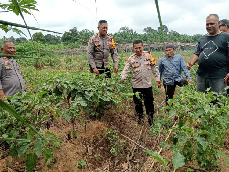 Polres Bungo Dukung Ketahanan Pangan Nasional: Tinjau Lahan Pertanian dan Galakkan Program Pemanfaatan Lahan Tidur