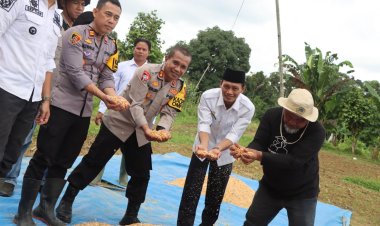 Polres Bungo Gelar Panen Raya Jagung Perdana, Dukung Ketahanan Pangan Nasional
