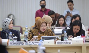 Elviana Soroti Sentralisasi Pengelolaan SDA Saat Rapat Bersama Menteri Bappenas: "Indonesia Bisa Gelap Jika Daerah Terus Dikesampingkan"