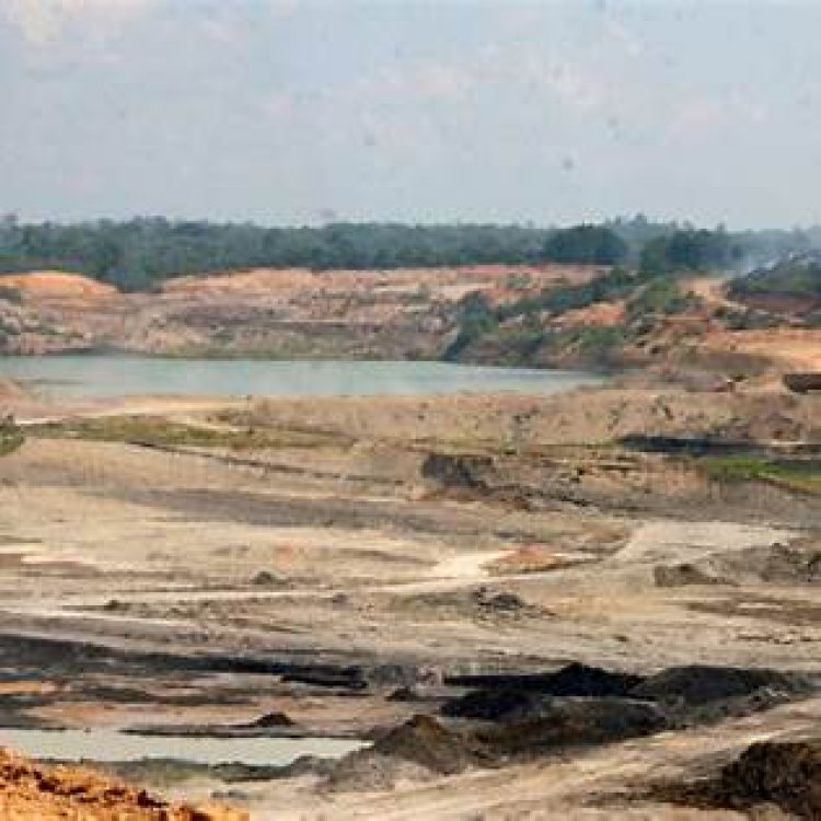 11 Perusahaan Batu Bara di Jambi Disanksi karena Abaikan Reklamasi